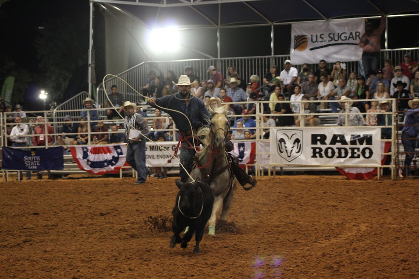 Tie-down roping contestant executing lasso and dismount simultaneously.