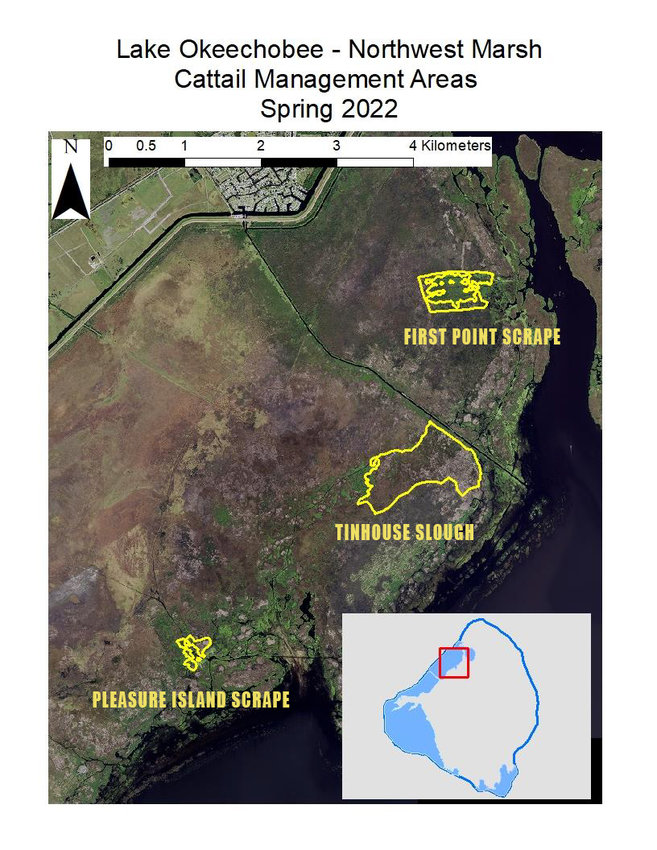 FWC biologists identified three priority areas for cattail management in the northwest marsh of Lake Okeechobee in spring 2022. The proposed management areas total approximately 295 acres.