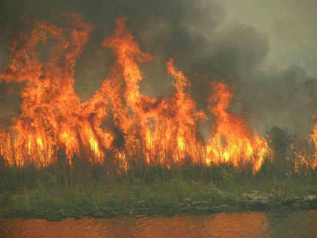 Wildfire on a dry grass bed in Lake Okeechobee