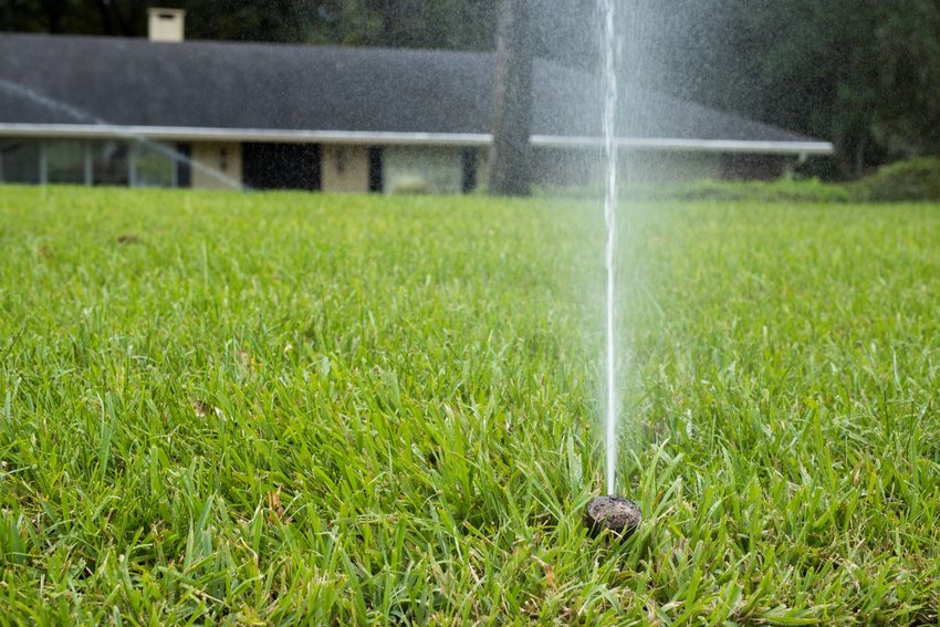 UF/IFAS research found that homeowners take their irrigation cues from their own personal norms and those of their neighbors.