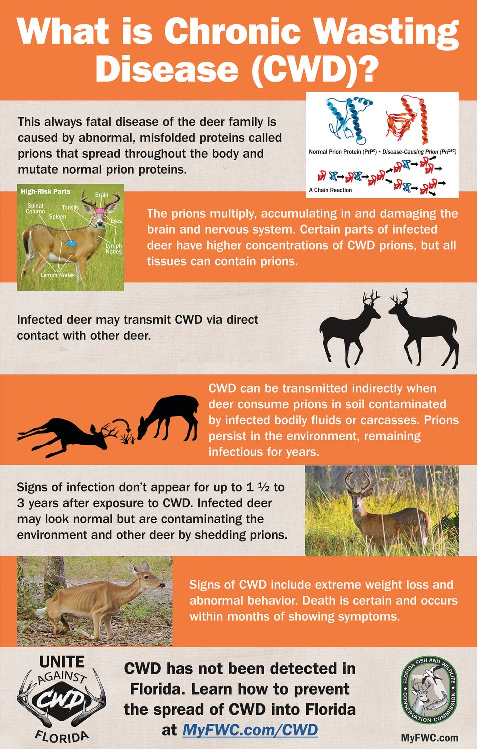 Information about chronic wasting disease.