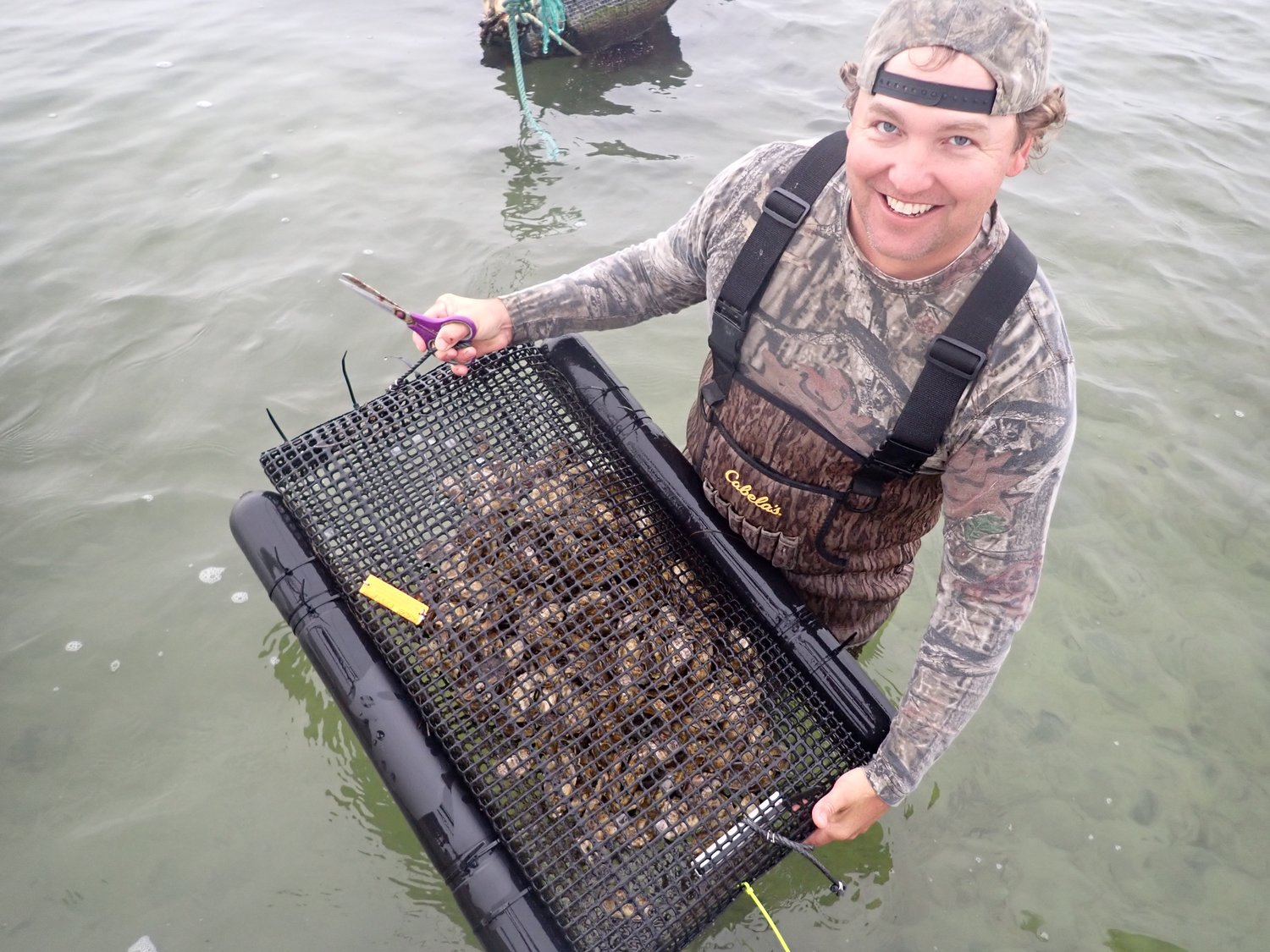 Oyster grower