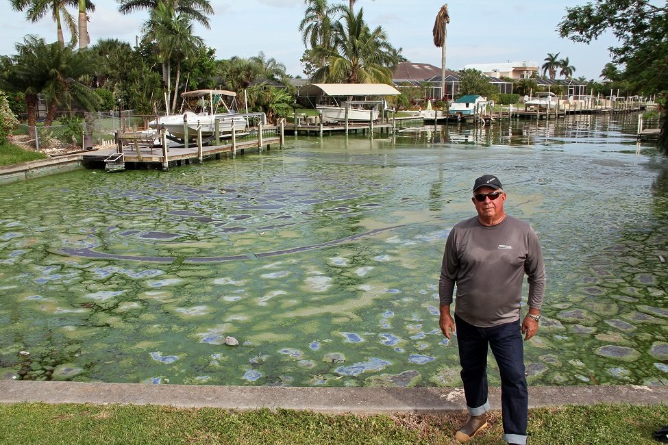 Brian Lapointe, Ph.D., stands in front of a canal in Cape Coral located in Lee County, Florida. [Photo courtesy FAU]
