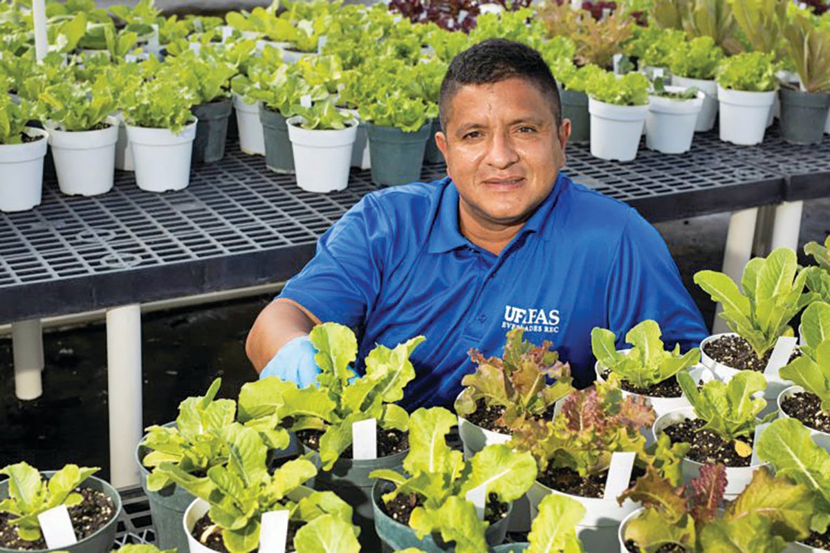 Germán Sandoya Miranda amongst plant samples at the Everglades Research and Education Center.