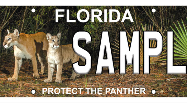 The new license plate will feature a Carlton Ward photo of a female panther and her kitten. [Photo courtesy FWC]