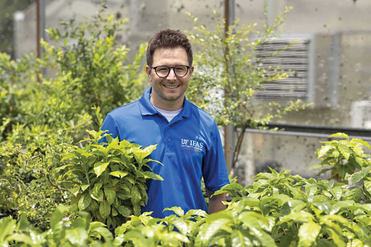 Felipe Ferrao in a Gainesville campus greenhouse with young coffee plants (in foreground).