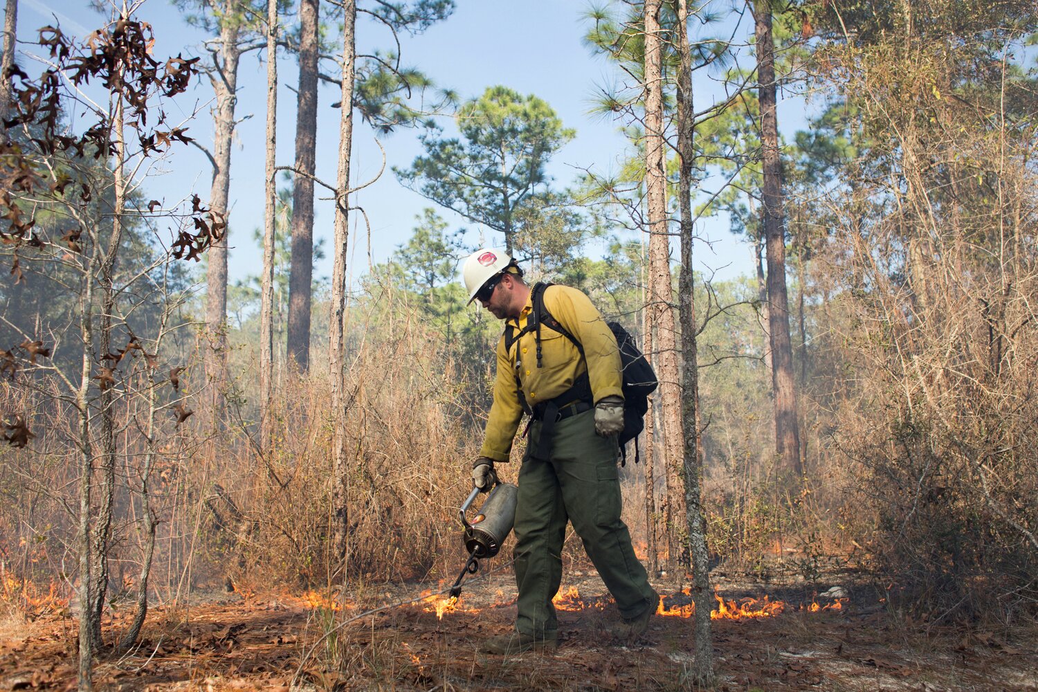 A fireman performs a controled burn at Ordway-Swisher Biological Station near Melrose, Florida.