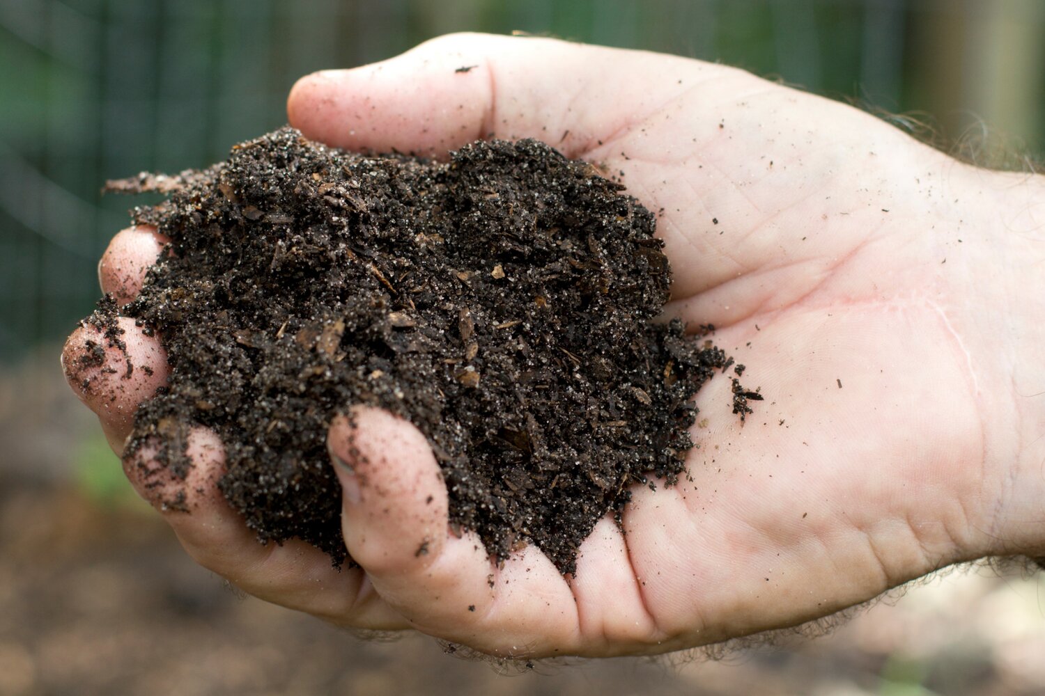 A handful of compost soil.  Aerobic decomposition, natural waste, organic recycling.